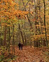 Fall Color Hinking at Deep Lock Quarry