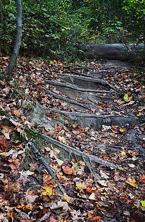 Along the trail after Blue Hen Falls