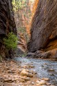 Hand of Man\n\nIn the Groove\nZion NP