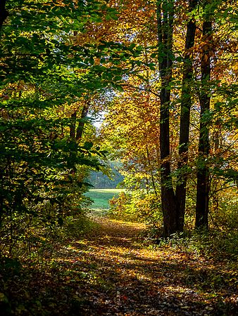 Kenall Ledges