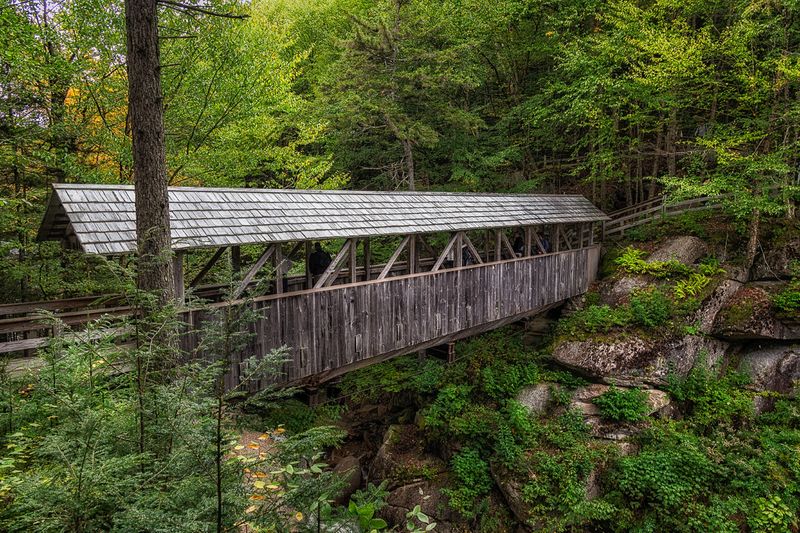 Hand of Man\n\nSentinal Pine Covered Bridge\nFranconia Notch SP