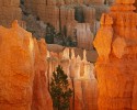 Landscape\n\nEarly Glow\nBryce Canyon NP