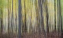 Landscape\n\nFall Trees I - ICM\nBrandywine Gorge