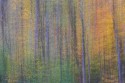 Landscape\n\nFall Trees II - ICM\nBrandywine Gorge