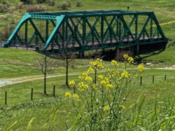 Bridge to Nowhere