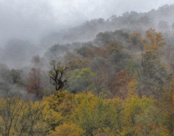 Landscape\n\nRain and Mist\n\nNew River Gorge National Park