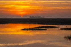 Landscape\n\nSt. Marks Sunrise\n\nSt. Marks National Wildlife Refuge