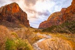 Landscape\n\nZion National Park