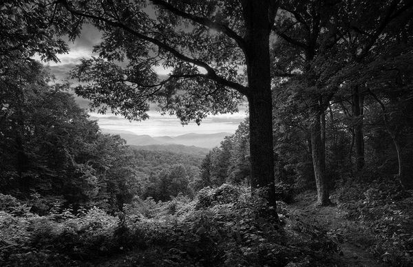 First Place Landscape\n\nSmokey Mountain Overlook\n\nSmokey Mountain NP