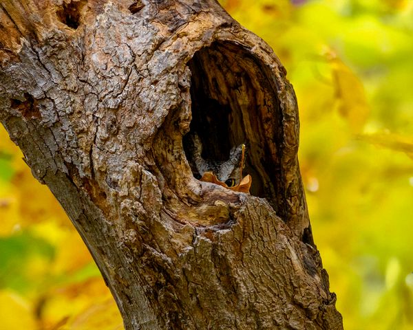 CVNP\n\nHidden Treasures\n\nCVNP