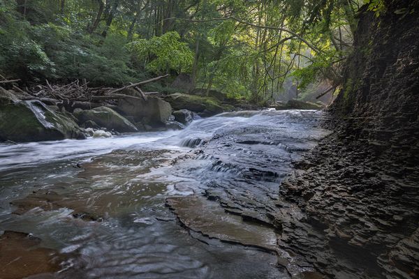 Landscape\n\nFlow and Light\n\nBedford Reservation