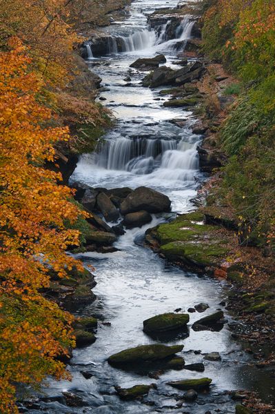 Landscape\n\nGorge Cascade\n\nHigh Bridge Glens Park