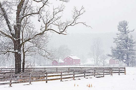 Snowstorm\n\n2nd Place - Landscape