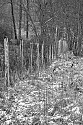 Fence\n\nBlack & White