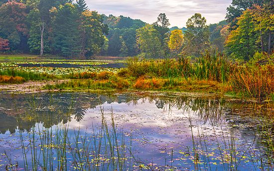Kendall Lake\n\nLandscape