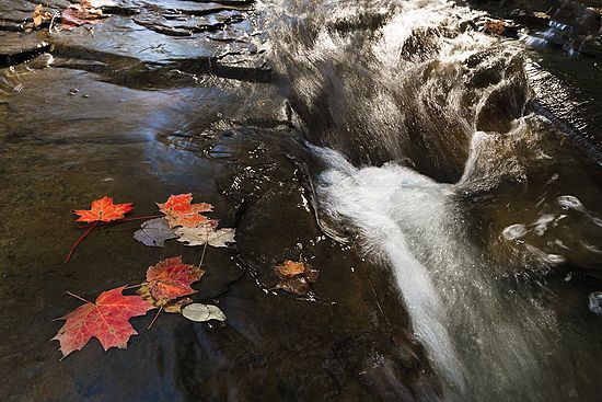 Lower Brandywine Falls (#2)\n\nNovice