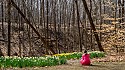 Contemplation, Furnace Run Metropark