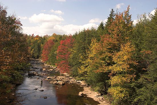 Blackwater Falls State Park WV