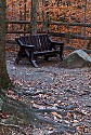 Bench, Blue Hen Falls