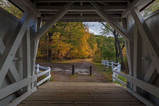 Autumn Window