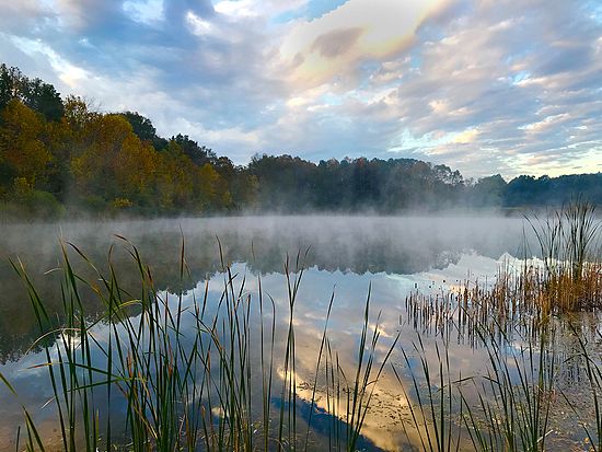 Honorable Mention\n\nLandscape\n\nMisty Morning