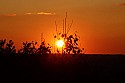 Landscape\n\nSunset at the Overlook