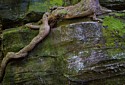 Ledges, CVNP