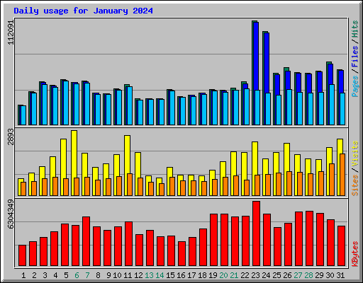 Daily usage for January 2024