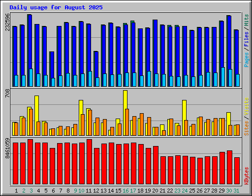 Daily usage for August 2025
