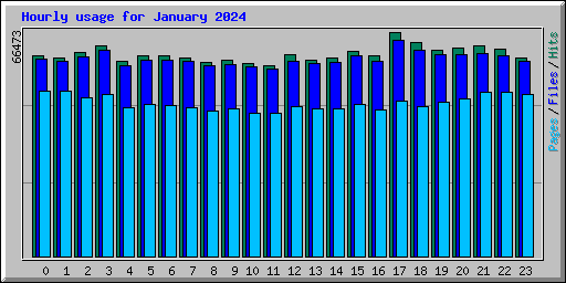 Hourly usage for January 2024