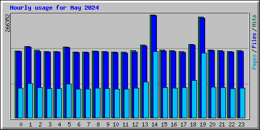 Hourly usage for May 2024