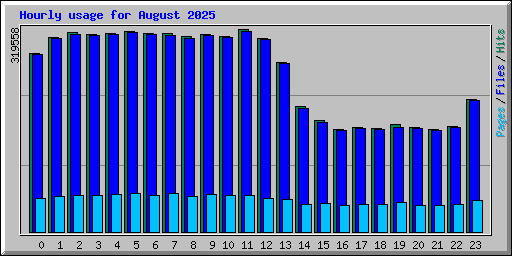 Hourly usage for August 2025