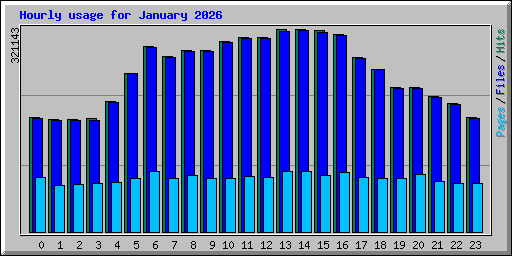 Hourly usage for January 2026