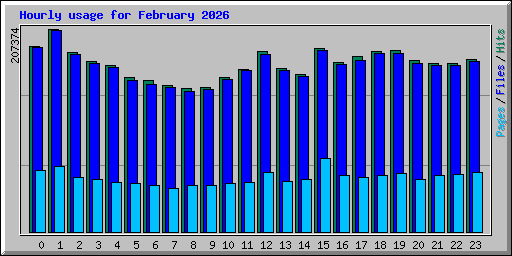 Hourly usage for February 2026